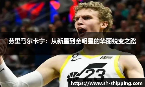 BSports网页版